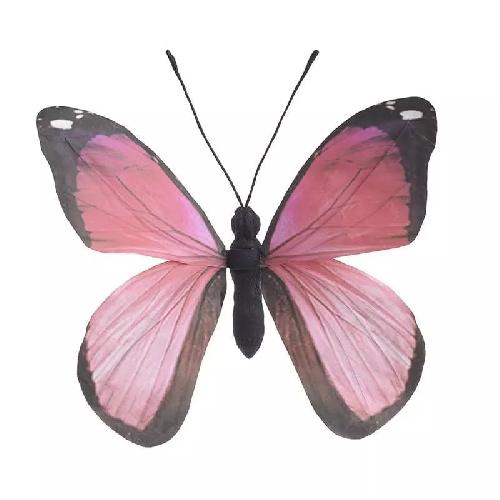 Decorative Butterfly