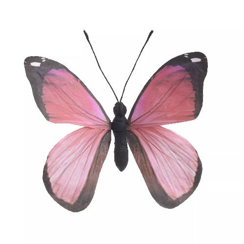 Decorative Butterfly