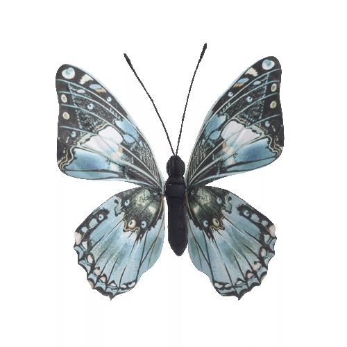 Decorative Butterfly