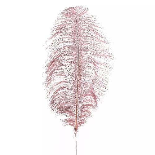 Decorative Feather