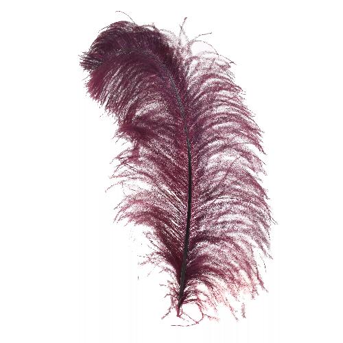 Decorative Feather