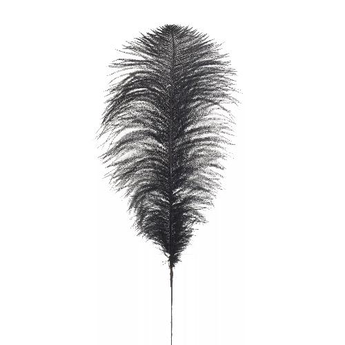 Decorative Feather