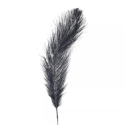 Decorative Feather