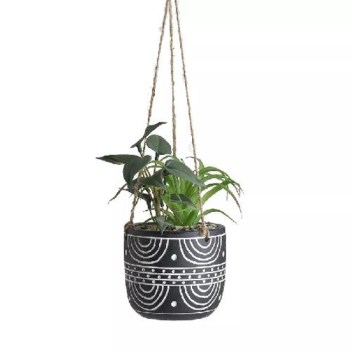 Pot With Plant