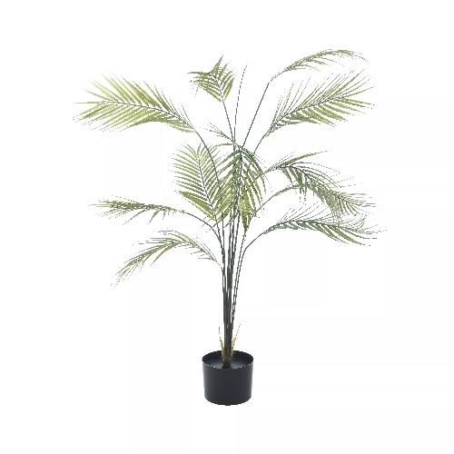 Plant In A Pot